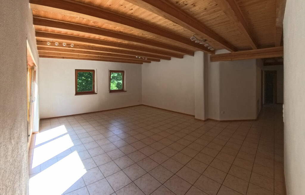 Living-Dining4